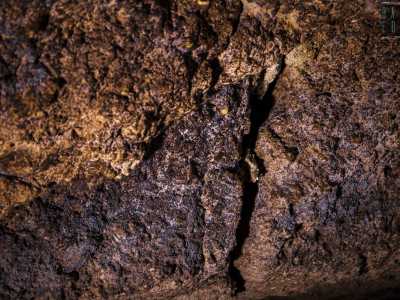 La volta in pietra, dalle varie sfumature che vanno dal colore blu al sabbia...